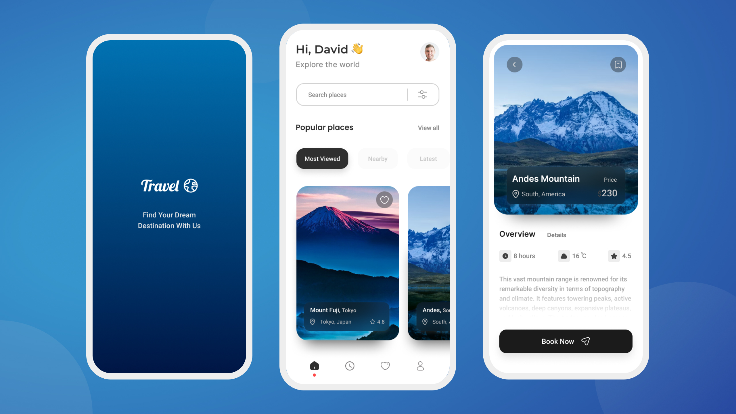 Mobile App Interface